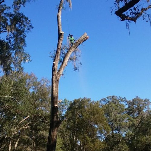 Imagen de WhatsApp 2025-01-30 a las 17.12.58_68ad85fb